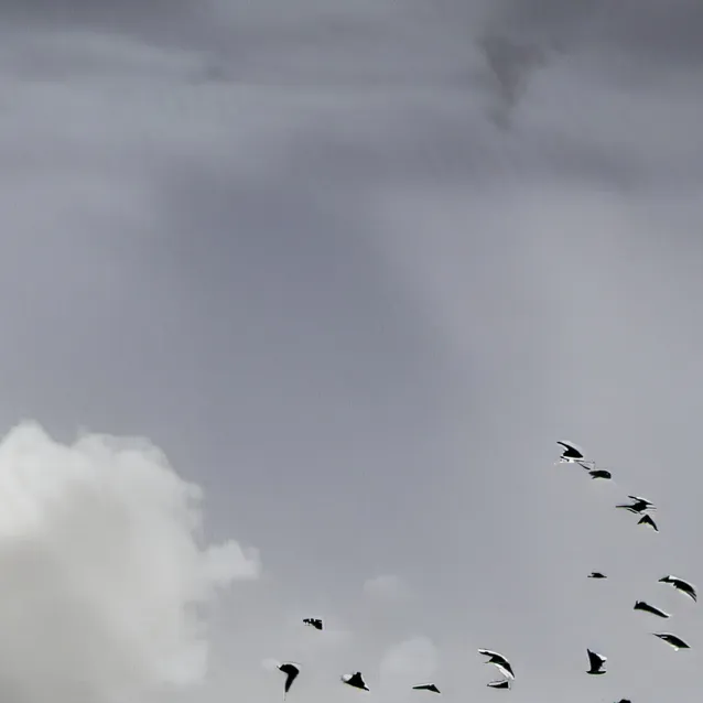 chat with ai character: pro heroes,Class1A