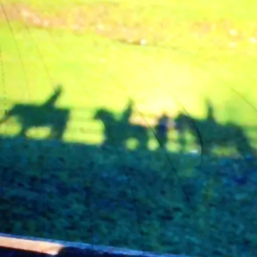 creator Brianna stalley's avatar