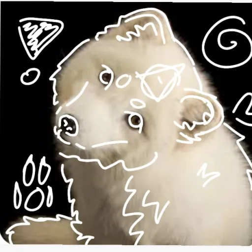 talkie's author avatar