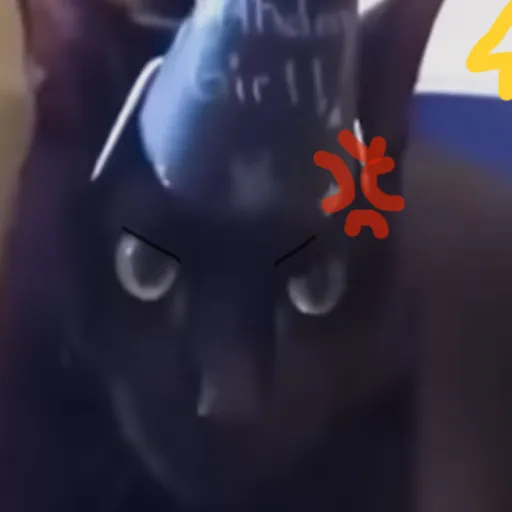 creator AnGeR cAt🎉🎉's avatar