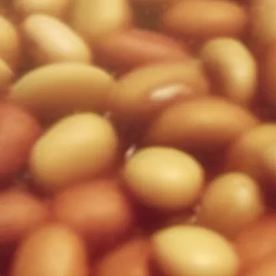 chat with ai character: Beans