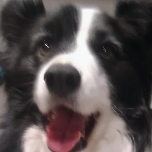 creator Bokbok's avatar