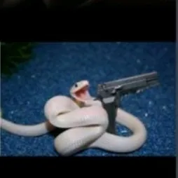 creator snake with a gun's avatar