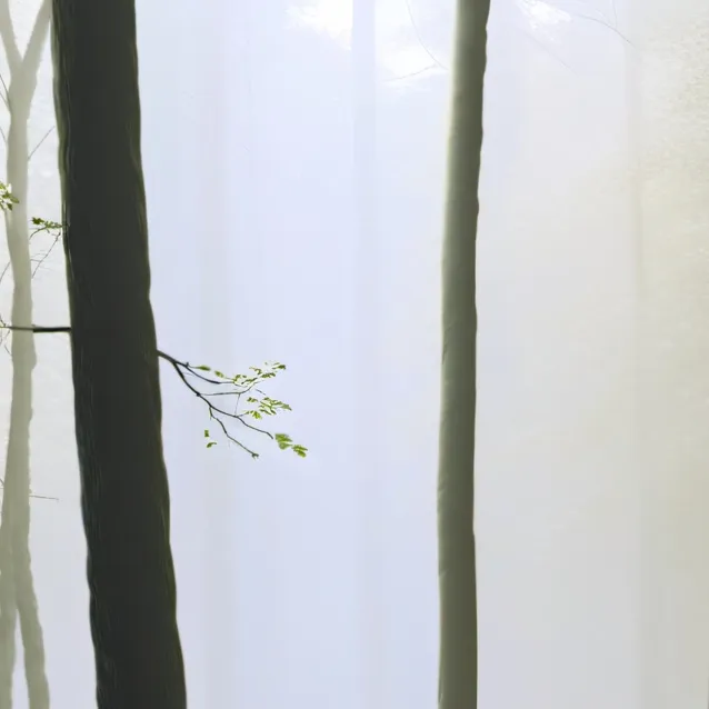 chat with ai character: the mist