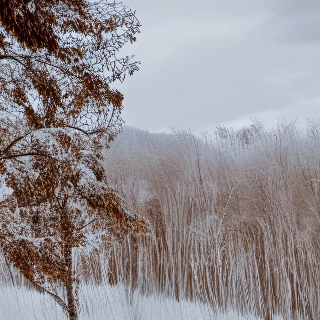 chat with ai character: Murder drones. 