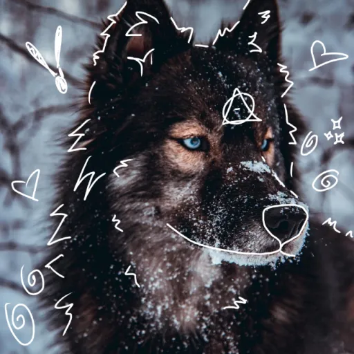 creator Jade777's avatar