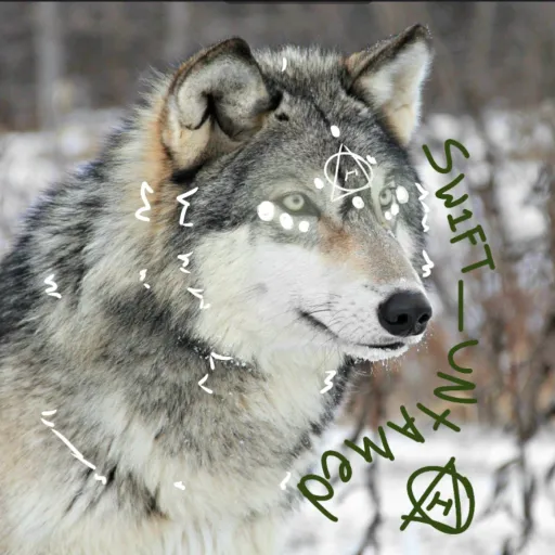 creator Šŵ1fț_Üňťåmēď's avatar