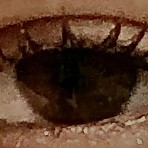 creator SponsorForRoblox's avatar