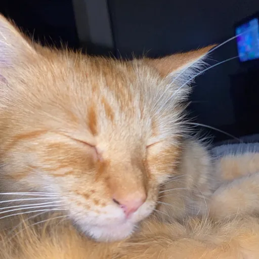 creator Kaylah. The best's avatar