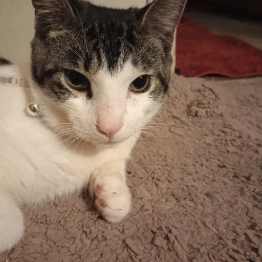 creator Xavier17's avatar