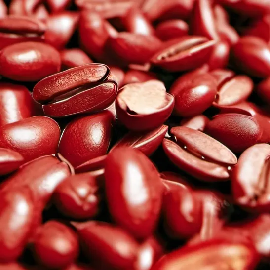 chat with ai character: ME!