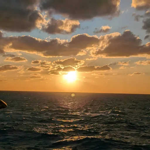 creator Ariana Frights's avatar