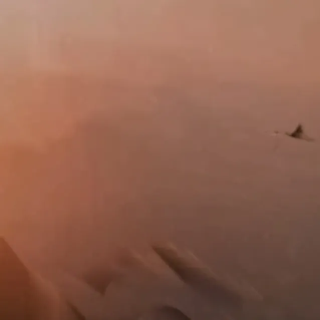 chat with ai character: .