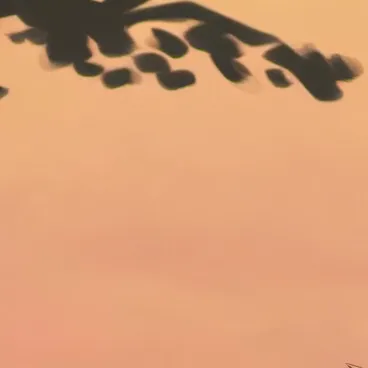 chat with ai character: Katsuki Bakugou