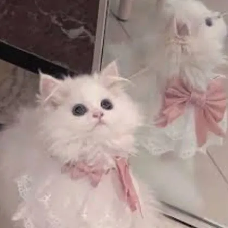 creator LUV4U🤍's avatar