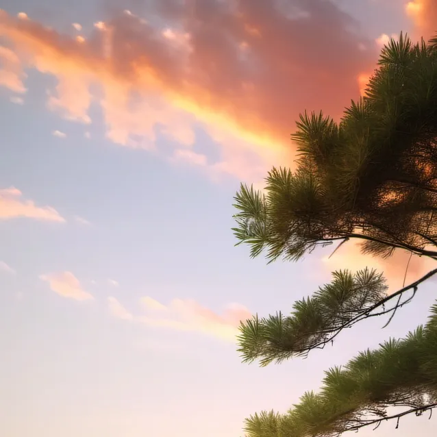 chat with ai character: Caleb