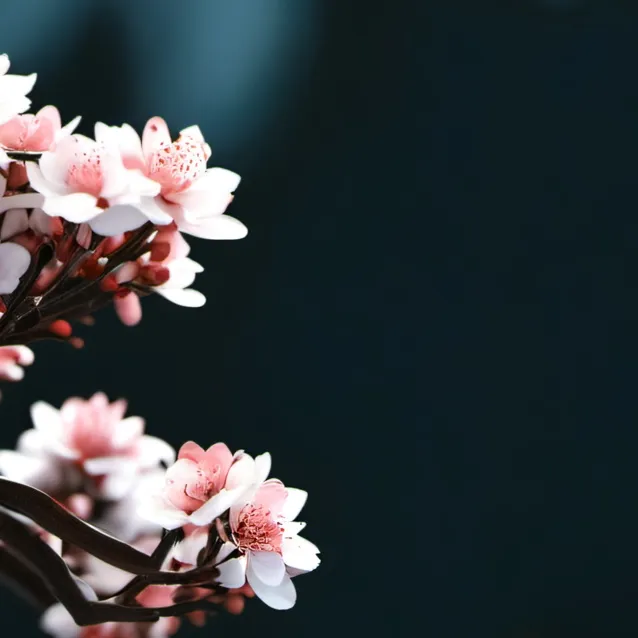 chat with ai character: clock leader 