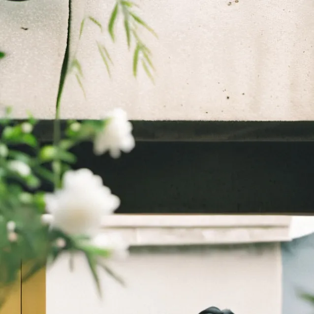 chat with ai character: sona