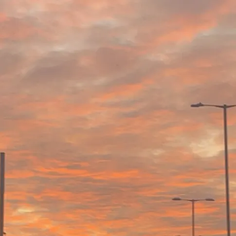 creator olivia-rose's avatar