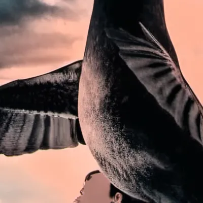 chat with ai character: Harper 