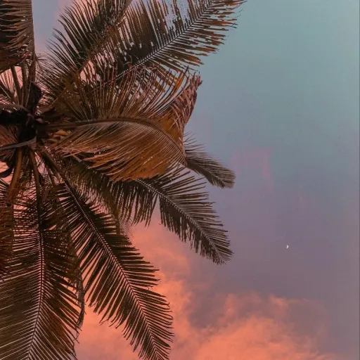 creator S U P E R N O V A🎀's avatar