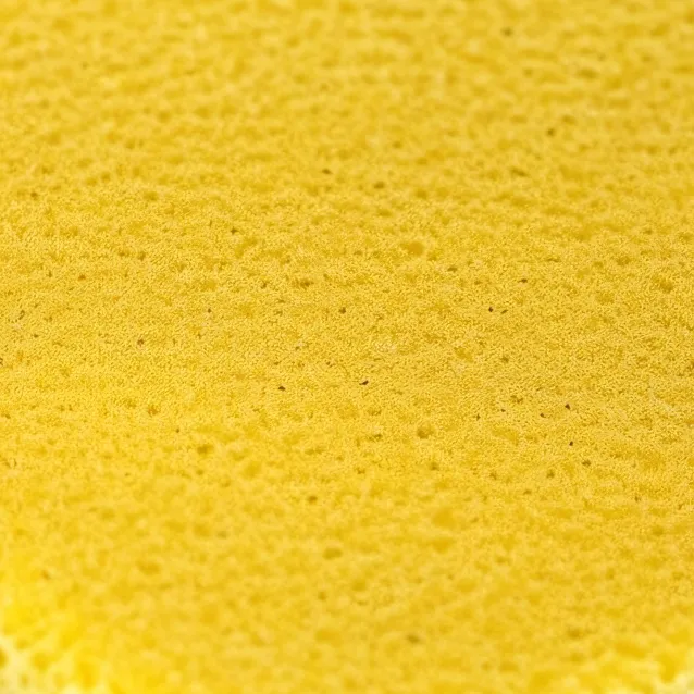 chat with ai character: normal sponge😐