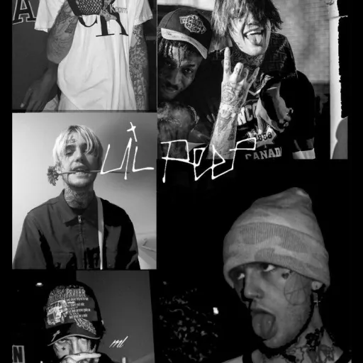 creator Adeline L's avatar