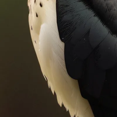 chat with ai character: JD