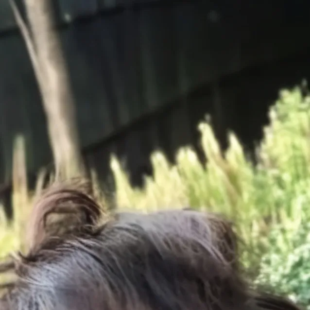 chat with ai character: JAKE WEBBER?!?!