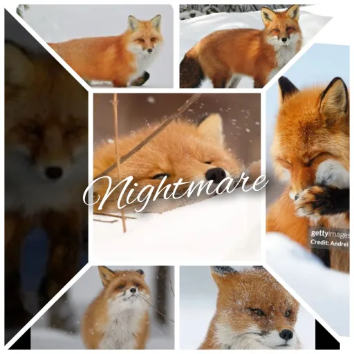 creator Sklerthefam's avatar