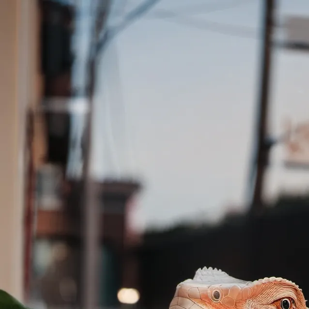 chat with ai character:  bearded dragon 