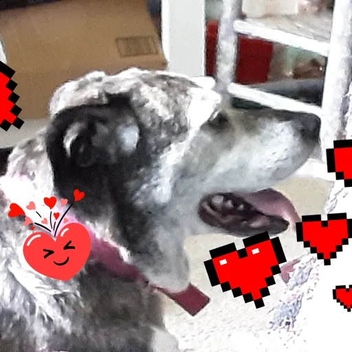 creator awsome talkies guy's avatar