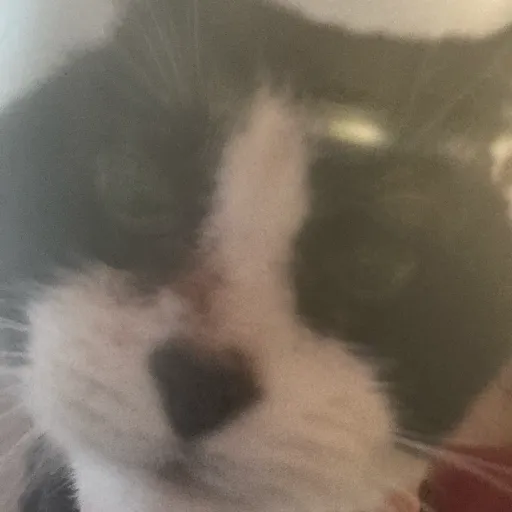 creator Inflationmaster123's avatar