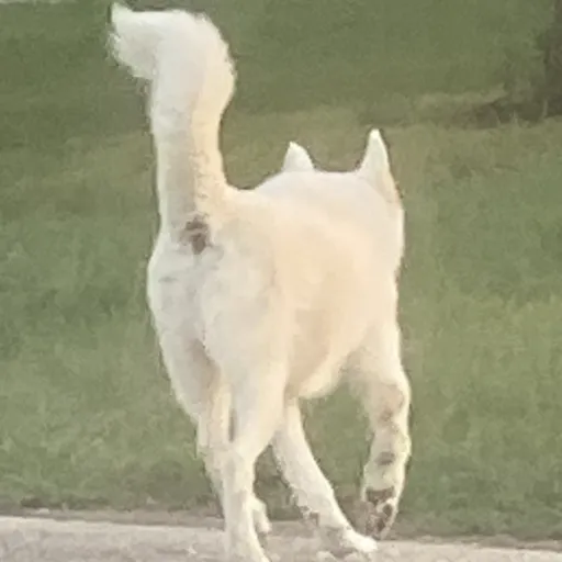 creator IM5XAbot's avatar