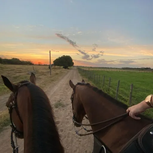 creator master45's avatar