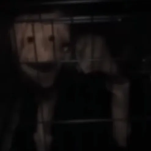 creator Clone?_dark web's avatar