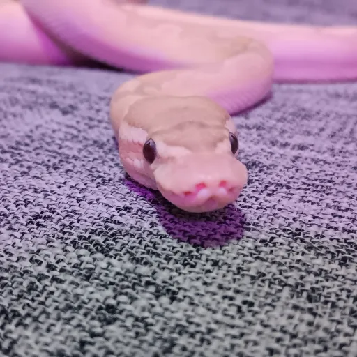 creator R3AL1TY ;)'s avatar