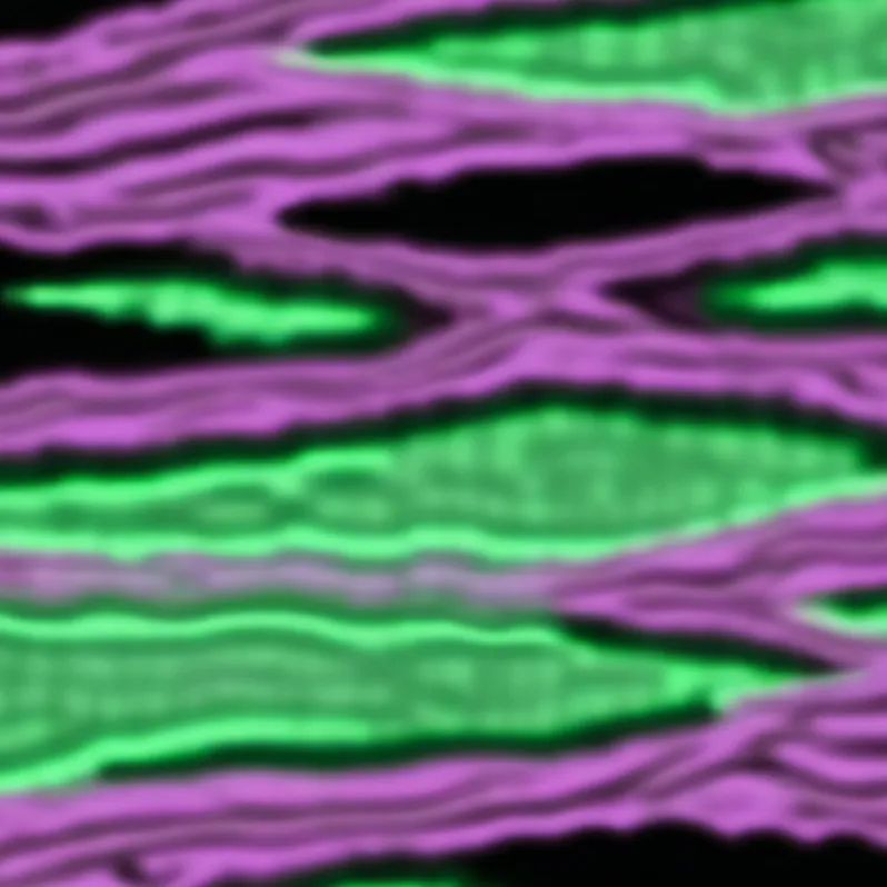 chat with ai character: Spotify