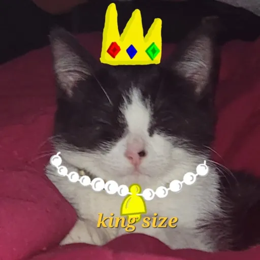 creator Pedro Garci's avatar