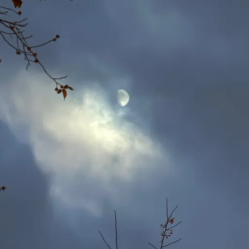 creator ❤️Jill❤️'s avatar