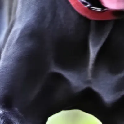 chat with ai character: Kenji