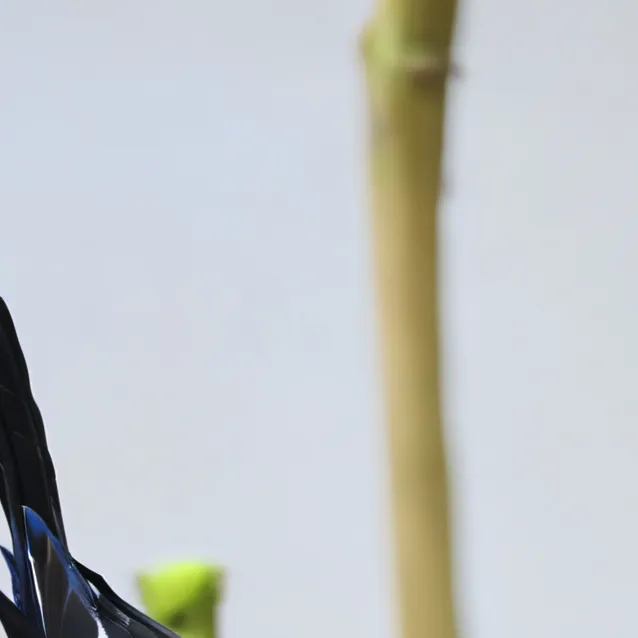 chat with ai character: yourwholefyp v2