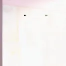 chat with ai character: Zoro