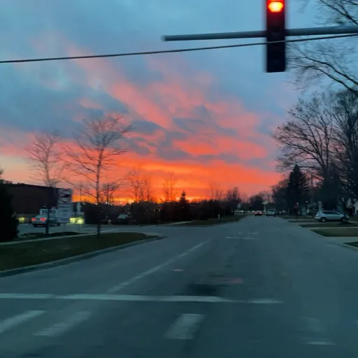 creator ~{<•Lizzzz•>}~'s avatar