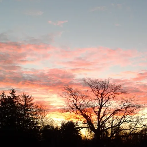 creator StarClover💖Creater's avatar