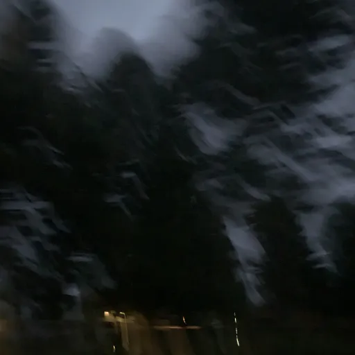 creator Jungwonieeeee's avatar