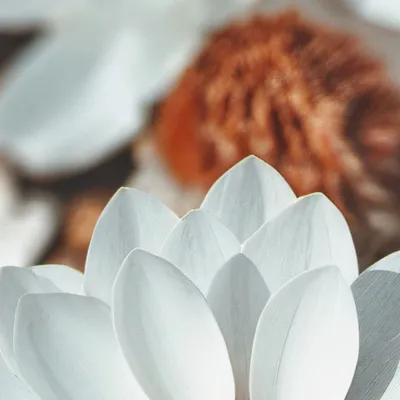 chat with ai character: Thank you