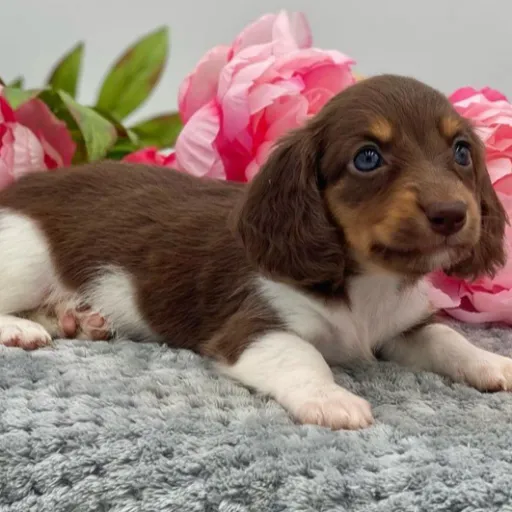 creator Bri02314's avatar