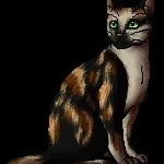 creator Shelltail's avatar