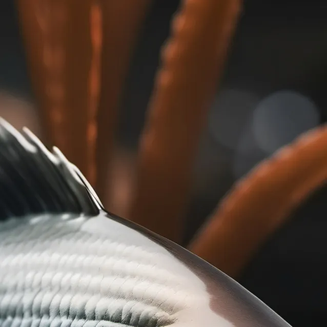 chat with ai character: feesh